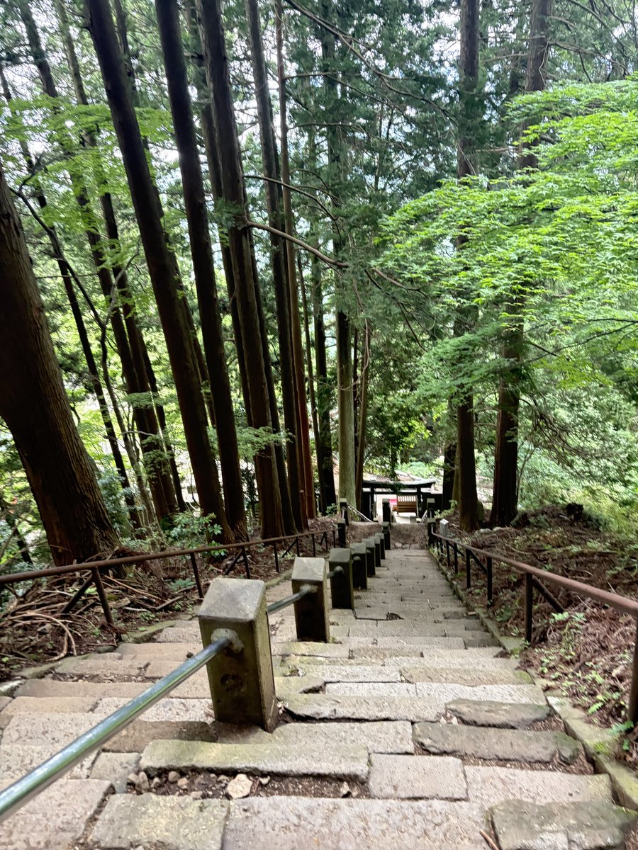 R_makes_rb's tweet photo. 私が登山を始めるきっかけとなった神奈川県の大山。今回は大山阿夫利神社から2.5hで往復するコース。生憎の曇り空だったが、霧の中を歩くのは新鮮で思いのほか良かった。道中、ソロハイカーの方とおしゃべりしながら登り、楽しい登山になった。4枚目は標高1100m付近で見た野生の鹿🦌の親子。かわいい。 https://t.co/2v0QonutAE