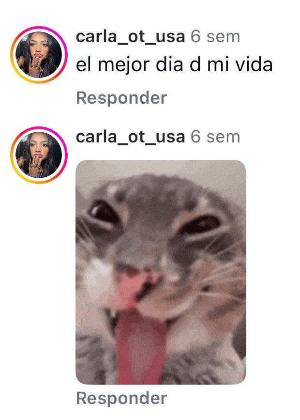 Gringxs's tweet photo. Los comentarios de Carla cuando Vio sacó Mashallah jajaj #OperaciónTriunfoUSA https://t.co/YZvQ7dMuvo
