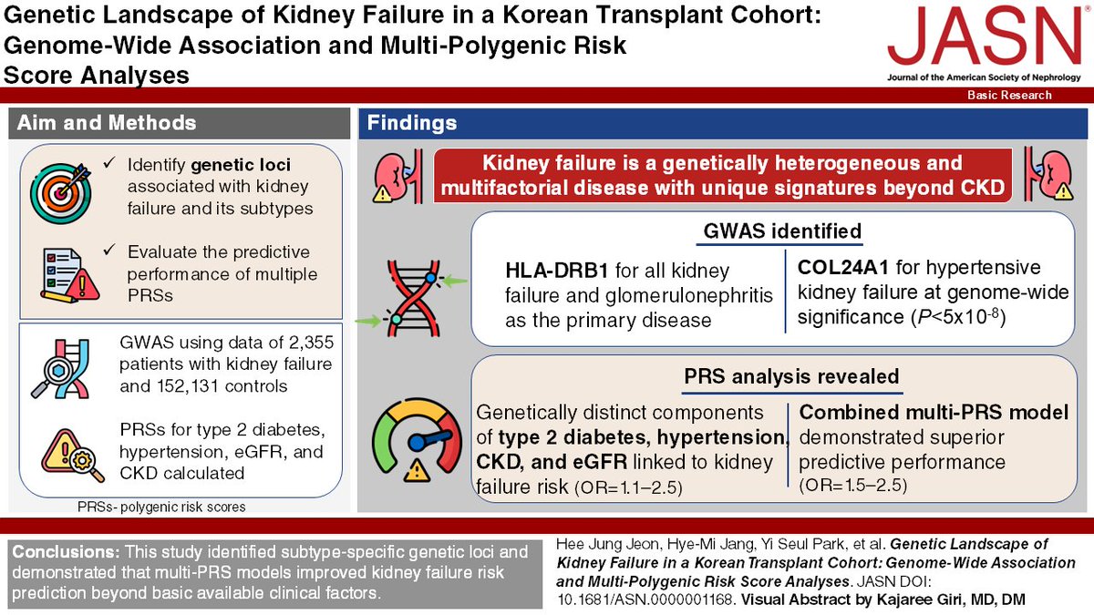 asnpublications's tweet photo. What if kidney failure isn't just the end stage of CKDโbut a genetically distinct disease? New #basicresearch in #ASNJASN reveals unique genetic drivers and show that combining multiple polygenic risk scores can better predict who progresses to kidney failure. https://t.co/wHnhMXlnVw