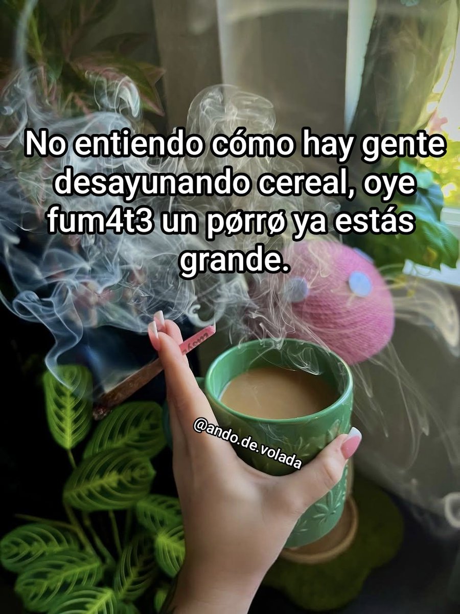 ando_volada_'s tweet photo. Ya estamos grandes https://t.co/7Y6MORPrmy