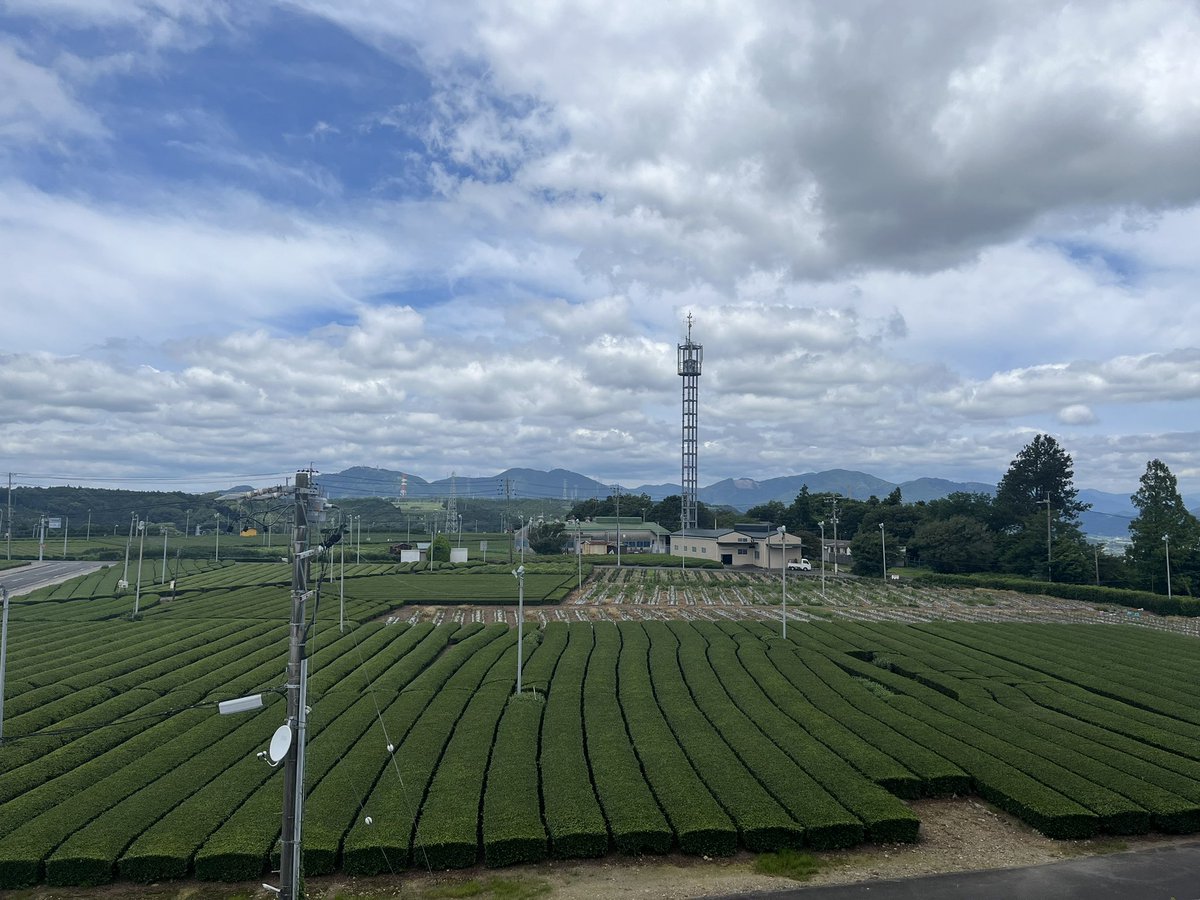miwachi_pi's tweet photo. in ふじのくに茶の都ミュージアム🍵

静岡の山の中をめちゃくちゃ走って
移動しまくった1日！ https://t.co/WjfQYcePh6