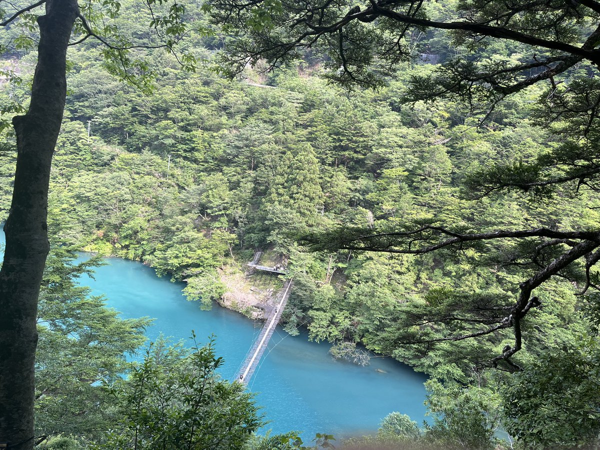 miwachi_pi's tweet photo. 急遽決めた寸又峡

下調べせず思いつきで行ったので
停めた駐車場からゆめの吊り橋まで徒歩40〜50分かかるとな😯
しかも吊り橋後は急な登り階段が304段もあるとな😯初耳
当方サンダル👡😯
行ってやったぜ💪🫠💦(汗だく)
往復で2時間弱かかった！
でもすごく綺麗だった〜
頑張ってよかった🥳 https://t.co/RERdqKC8F4