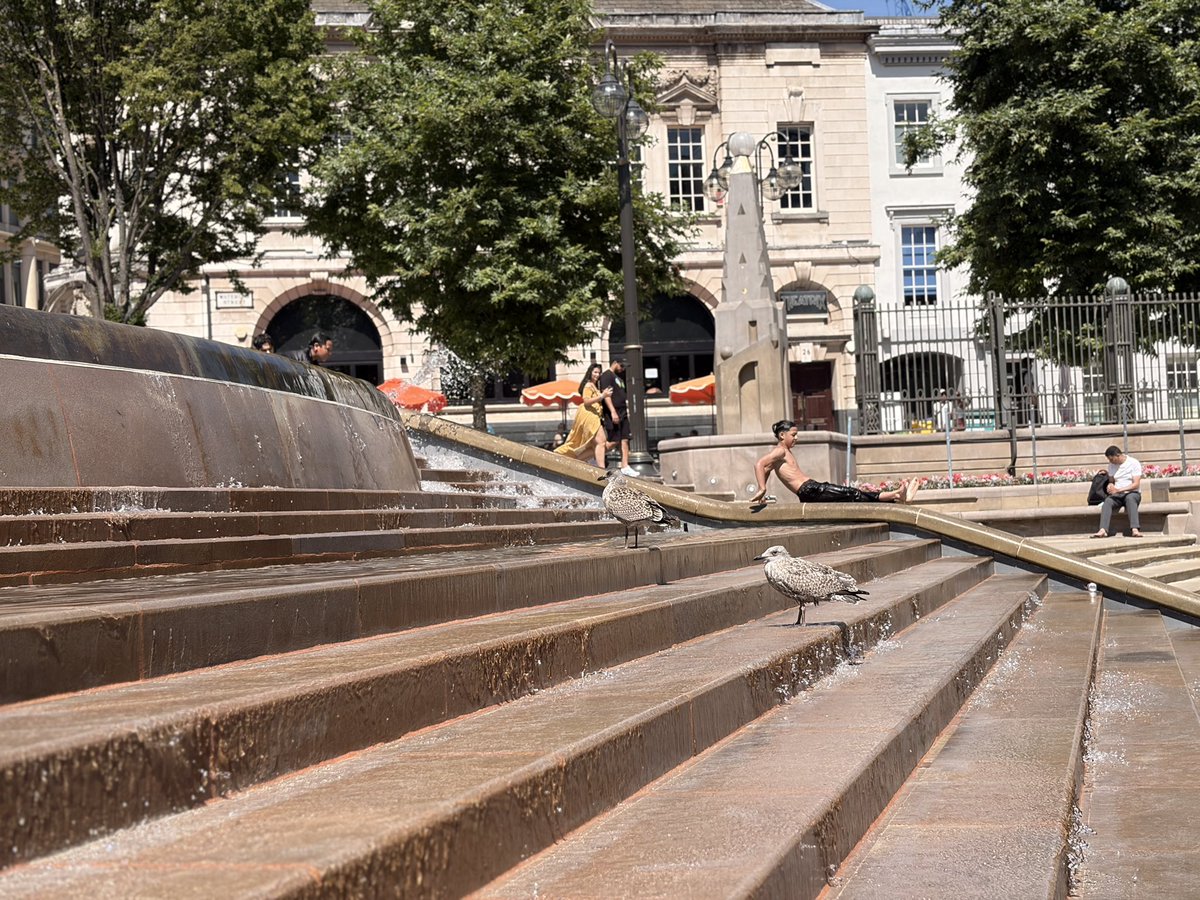 Jota_Navas's tweet photo. @ivanc_07 So tired of the barbarism. This is from today in Birmingham—notice the guy sliding down the fountain like he’s at a water park. https://t.co/JKNy5MLvtG