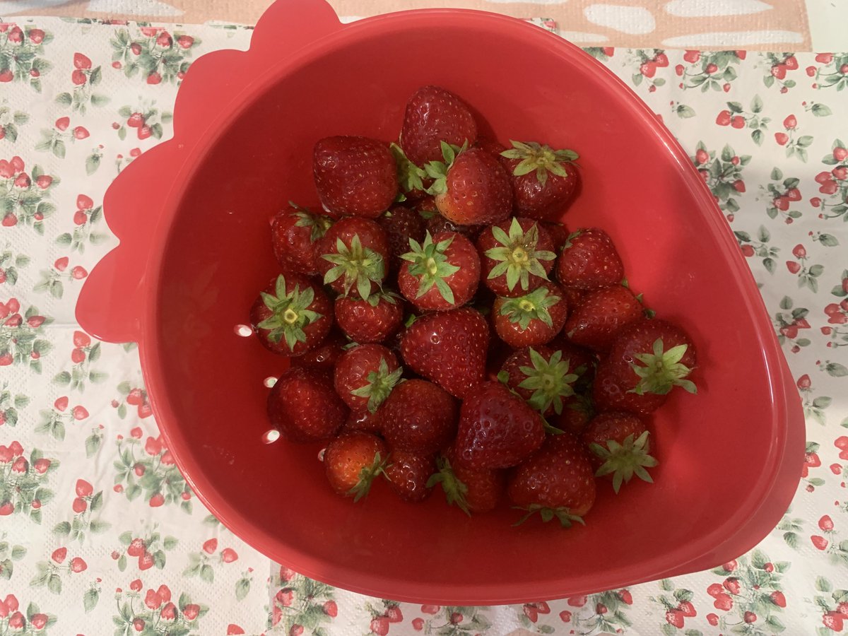 _aethenia's tweet photo. things I love: strawberries, Yuumi and him.ᐟ https://t.co/6eiC9Wzs4N