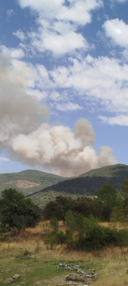 PacoCastanares's tweet photo. Incendio forestal en Barrado (Cáceres)

#IFBarrado https://t.co/GTfROzLLTO