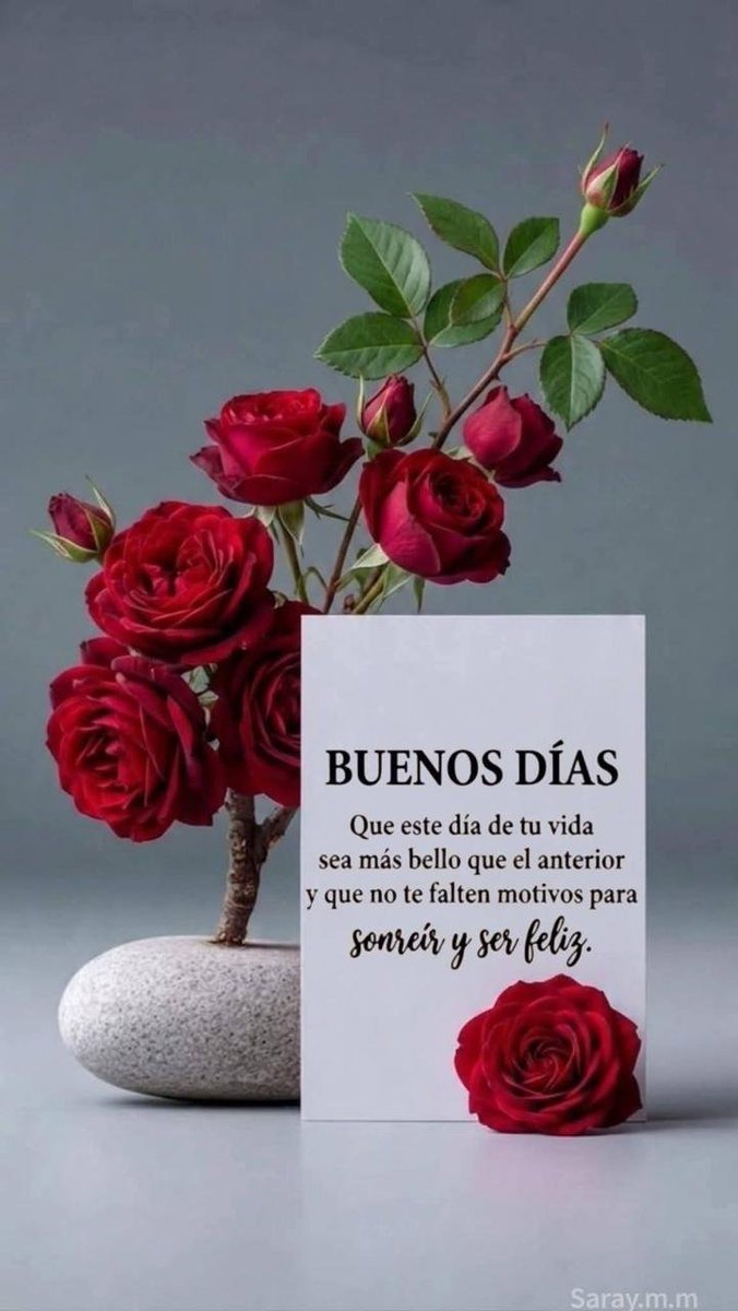 msorteoficial's tweet photo. ¡Buen día mis amores! 🙏🏻🌹 https://t.co/kdobePlctv