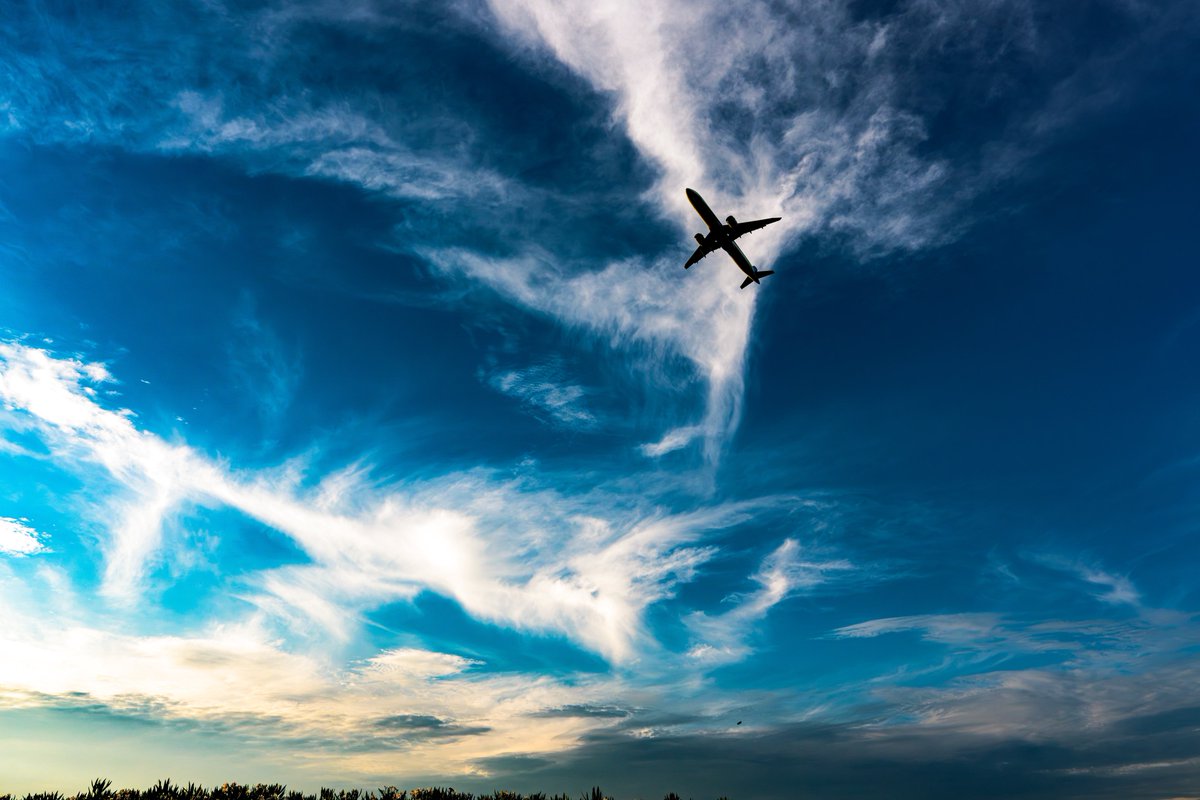 kk_official1's tweet photo. 羽田空港カメラ教室（個人）
天空橋惜しかったな
 #羽田空港
 #JAL https://t.co/bJOT7LA9na