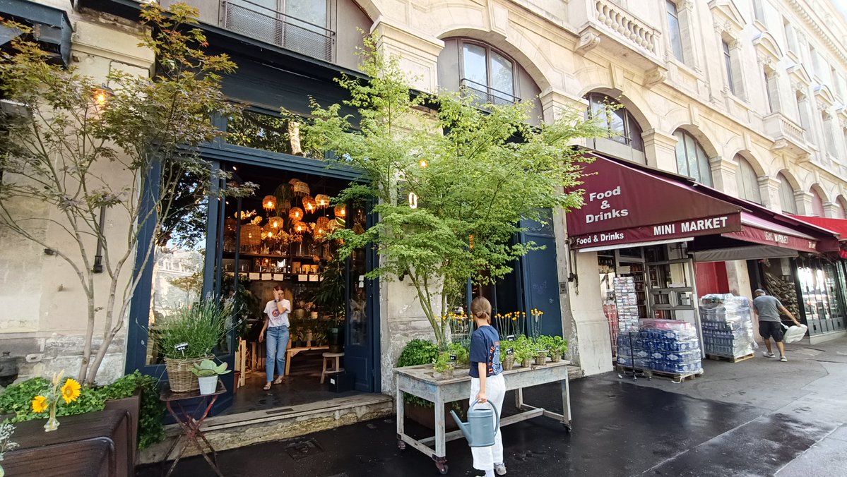 OoieR's tweet photo. 🇫🇷素敵なお花屋さん・・というか観葉植物のお店💕
#Paris https://t.co/sqJVyBDeYy