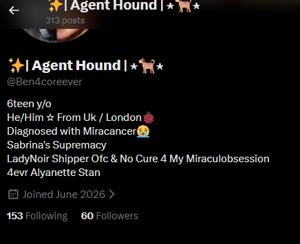 ✨| AgentBug | ⋆🐞⋆ tweet media