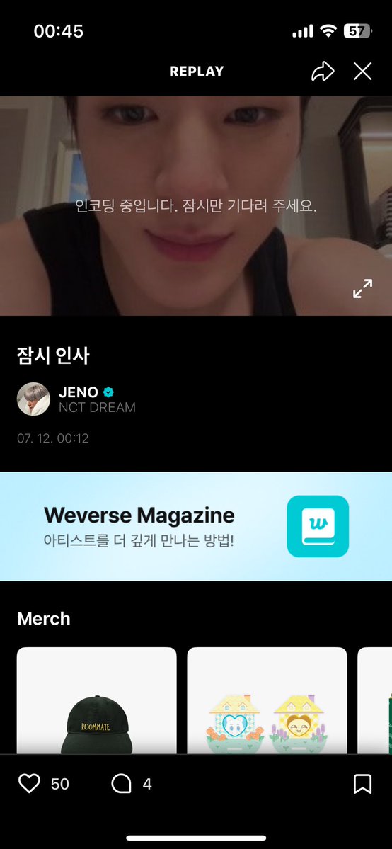 시바묘 tweet media