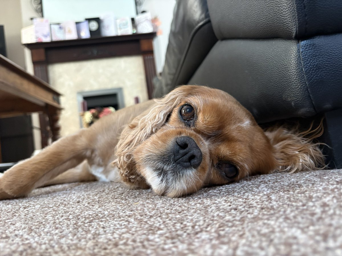 jasper the coolest cav 😎 tweet media
