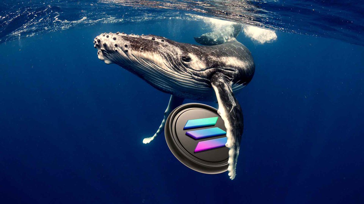 tokenradargem's tweet photo. 🐋 Wallet Watch: an on-chain whale accumulated 234,900 SOL (~$16.5M) over a 3-hour window, executed in smaller trades to avoid slippage. Pattern to notice: the wallet was inactive before this — a deliberate re-entry, not routine trading. 
⚠️ One whale move ≠ trend confirmation. https://t.co/BPWKwv4PUf
