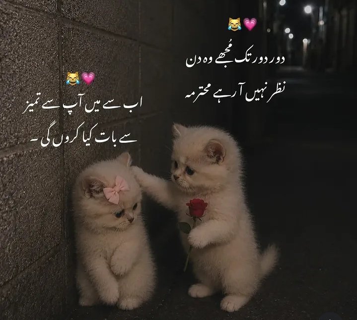 MehRashid's tweet photo. "Me or Mery wali" 😒 https://t.co/RCdKJxwow0