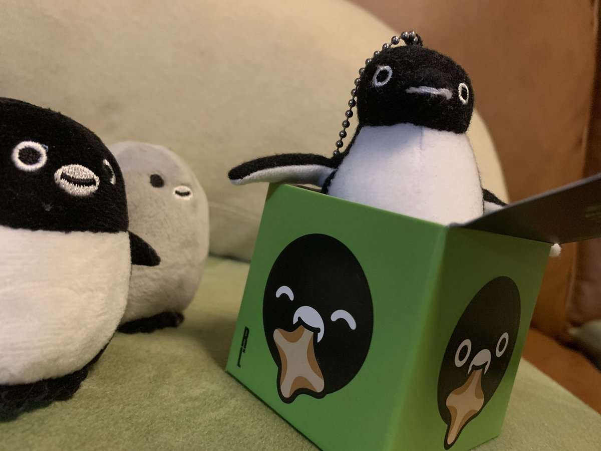 Sabano_mimi's tweet photo. 「ペンギン百貨」の時にお迎えした子
確か600円台でしたね
（君はプライスレス） https://t.co/yLNlOmtWfr