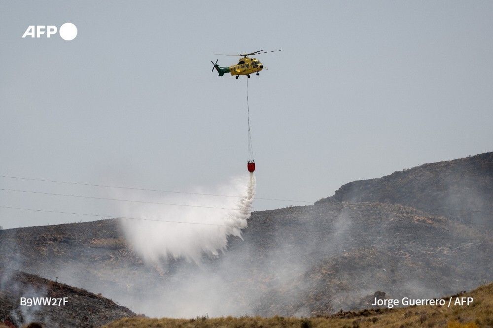 AFP News Agency tweet media