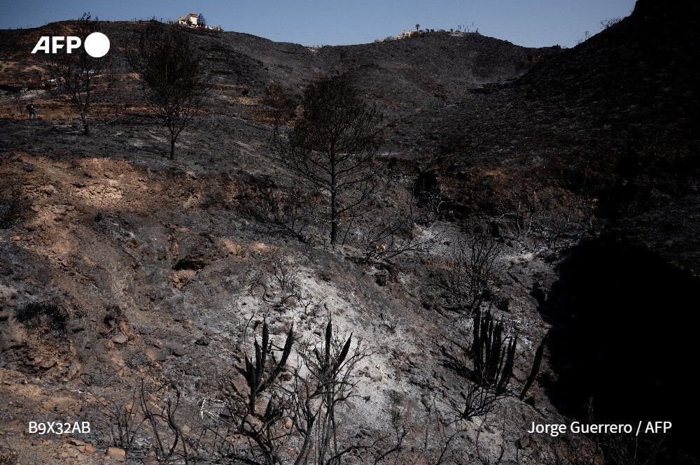 AFP News Agency tweet media