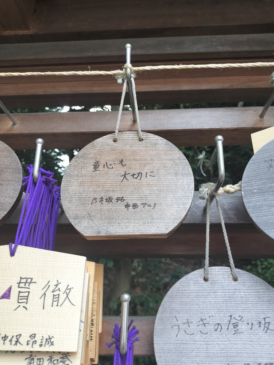 reicha_____81's tweet photo. Tag🏷𓈒𓏸︎︎︎︎

2023年の神宮に初参戦してから、乃木坂の沼にはまりました

24  社会人🚺
推し⇒清宮レイ、中西アルノ
よかったらお友達になってください

#乃木坂46
#清宮レイ
#中西アルノ
#乃木坂46好きな人と繋がりたい 
#乃木坂46好きな女オタさんと繋がりたい https://t.co/ETmn8T5woW