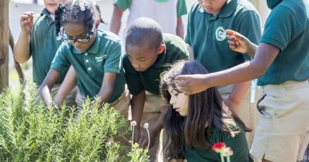 NOLAnews's tweet photo. Dan Gill shares tips for creating a kid-friendly summer garden in New Orleans https://t.co/hRDj1z8RYK https://t.co/7dEokwpf74