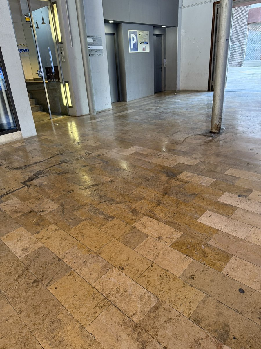 fetsaTerrassa's tweet photo. Realment sortir a passejar pel centre fa, literalment, fàstic amb aquesta olor de pixums per tot arreu @ajterrassa què hem de fer, passar de tot, com molta gent? O podem fer alguna cosa per tenir la ciutat com la volem? https://t.co/sAz46qMsSh