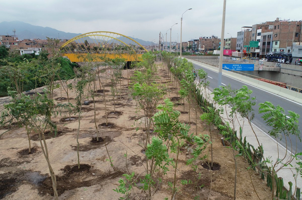 MuniLima's tweet photo. #CercadoDeLima l A través de la Gerencia de Servicios a la Ciudad y Gestión Ambiental, se entregó el Gran Bosque La Salle, donde se sembraron más de 400 árboles para mejorar la calidad del aire y recuperar la ribera del río Rímac.

Además, se rehabilitó el Parque Héctor Chumpitaz con nuevas áreas verdes, veredas, zonas de ejercicios e iluminación LED para reforzar la seguridad.