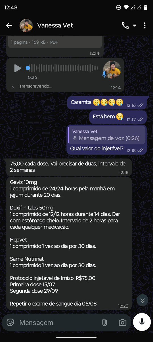 thaiannax's tweet photo. Atualização urgente da Cacau. Precisamos muito da ajuda de vocês. 

Hoje conversei com a veterinária e, infelizmente, a situação da Cacau ainda é muito delicada. Ela está com uma anemia significativa e muitas alterações no fígado. A veterinária explicou que não conseguimos curar a doença em 100%. Por isso foi necessário reiniciar todo o tratamento do zero, incluindo um medicamento injetável e mais duas semanas de antibiótico.

A Cacau continua vomitando com resquícios de sangue e urinando muito escuro, o que mostra que ela ainda precisa de tratamento urgente. Além dos medicamentos, ela precisa continuar se alimentando com Recovery, e nós só temos 2 latas restantes. Eu consegui comprar apenas o Fenobarbital, mas ainda não consegui comprar o Epi Control, o Hemolitan e todos os outros remédios que foram prescritos hoje. Até agora, somente duas pessoas conseguiram nos ajudar, arrecadando R$ 30,00.. valor que foi usado para comprar o Fenobarbital.

Estou desesperada porque não tenho condições de arcar com tudo sozinha. Qualquer contribuição, por menor que seja, pode fazer diferença na continuidade do tratamento da Cacau.

Pix (CPF): 149.983.397-02

Se você não puder doar, peço de coração que compartilhe esta publicação. Uma divulgação pode alcançar a pessoa que vai ajudar a salvar a vida da Cacau. Por favor,precisamos urgente de todos esses medicamentos,cada segundo passa e ela piora.. por favor,tô implorando por ajuda