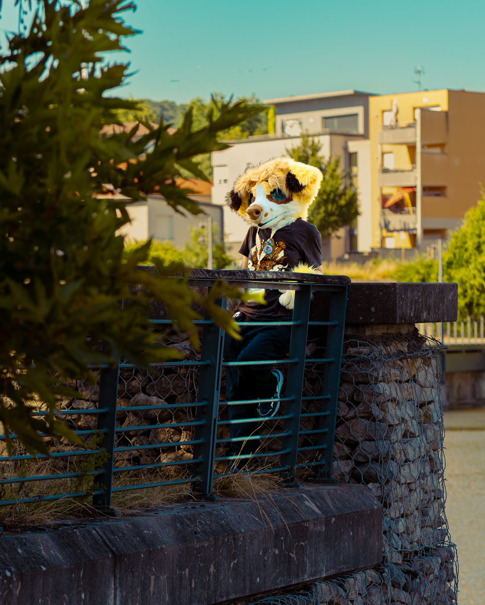 Nalkotheliger's tweet photo. photo et retouche de @Flysky_D71 !
#furry #fursuitmaking #fursuit #fursuitphoto https://t.co/3nLhtjsR0o