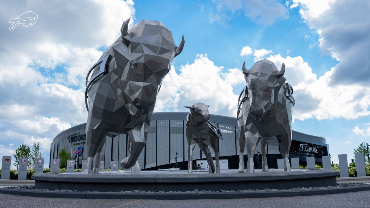 nflnohuddle's tweet photo. Plaza de Búfalos. 🐃 https://t.co/JzKgIDjYR0