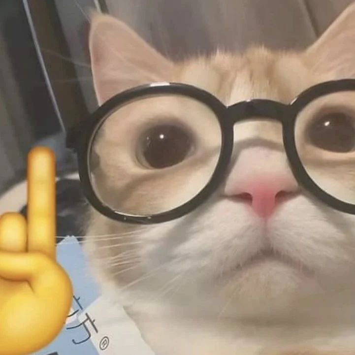 GatinhoZebZeb tweet media
