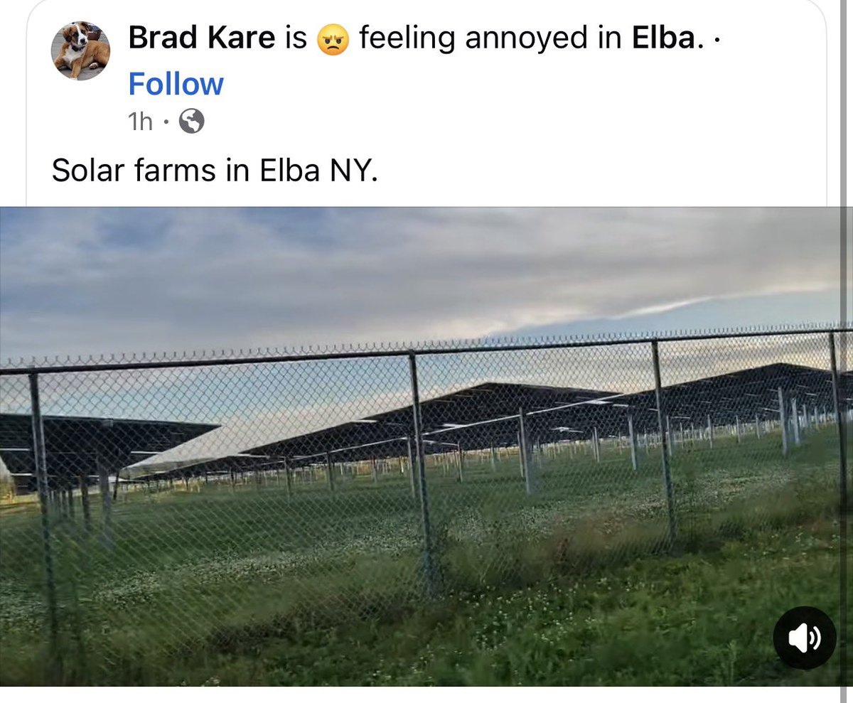 alex_fasulo's tweet photo. More destruction of prime farmland in Genesee County, NY, which contains the MOST amount of productive farmland of any NY county. 

This is not by accident. 

“Yes but they could farm between the panels!”

We could all do a lot of things. They (ORES) do NOT farm between or under the panels. They don’t grow flowers. Animals are shut out from movement by perimeter fencing. Rural character and history is destroyed. 

People living next to these things can’t sell their homes. For sale signs are everywhere. Who wants to buy a farmhouse next to a foreign industrial complex?

Wake up!