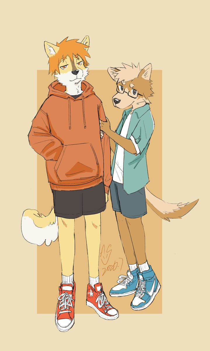 DrDaleFox's tweet photo. shiba 🐶X 🐶shiba https://t.co/WiPk5dK6BK
