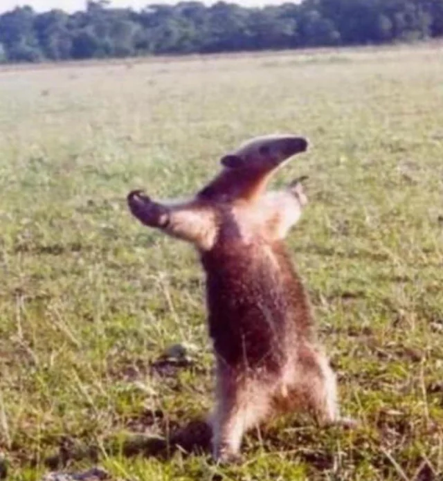 JackARacing tweet picture