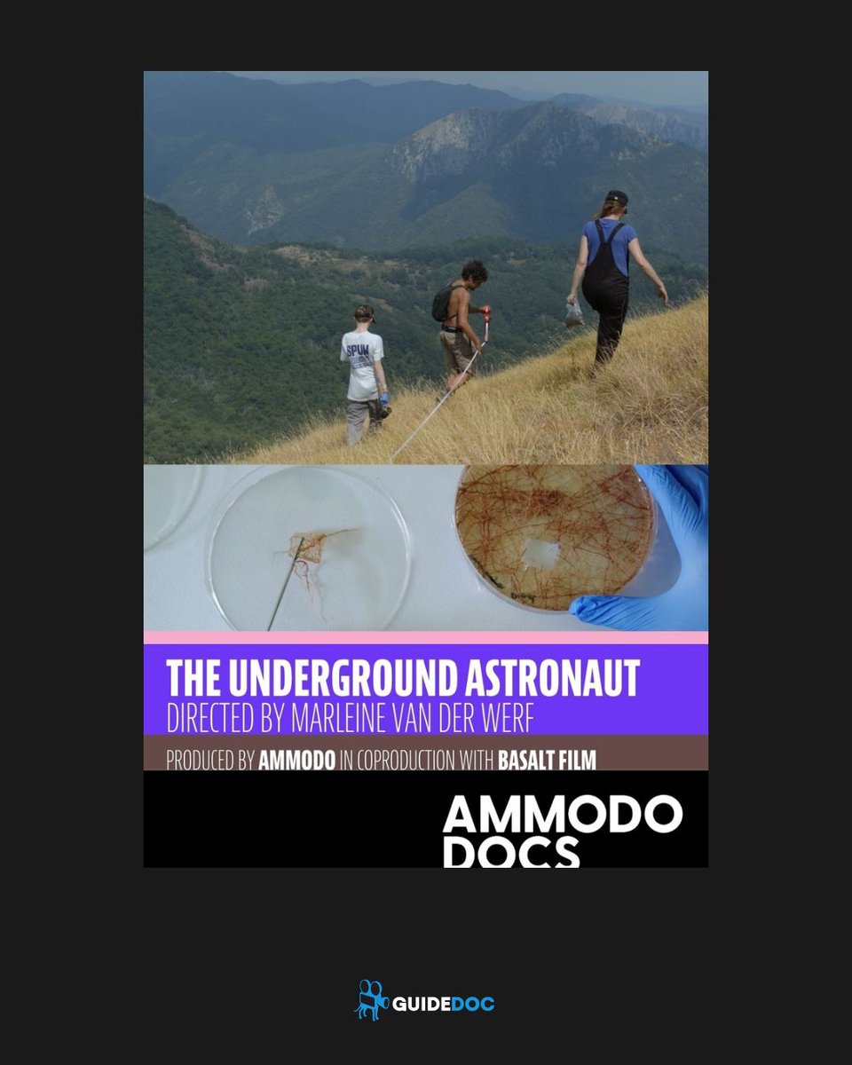 GuideDoc's tweet photo. 🎬 New on GuideDoc
The Underground Astronaut
Beneath our feet lies a vast, largely unmapped network of mycorrhizal fungi that exchanges nutrients and carbon...
▶ https://t.co/mZQETJBQ4J
#Documentary #NewRelease #GuideDoc https://t.co/KTtUwbk9oQ