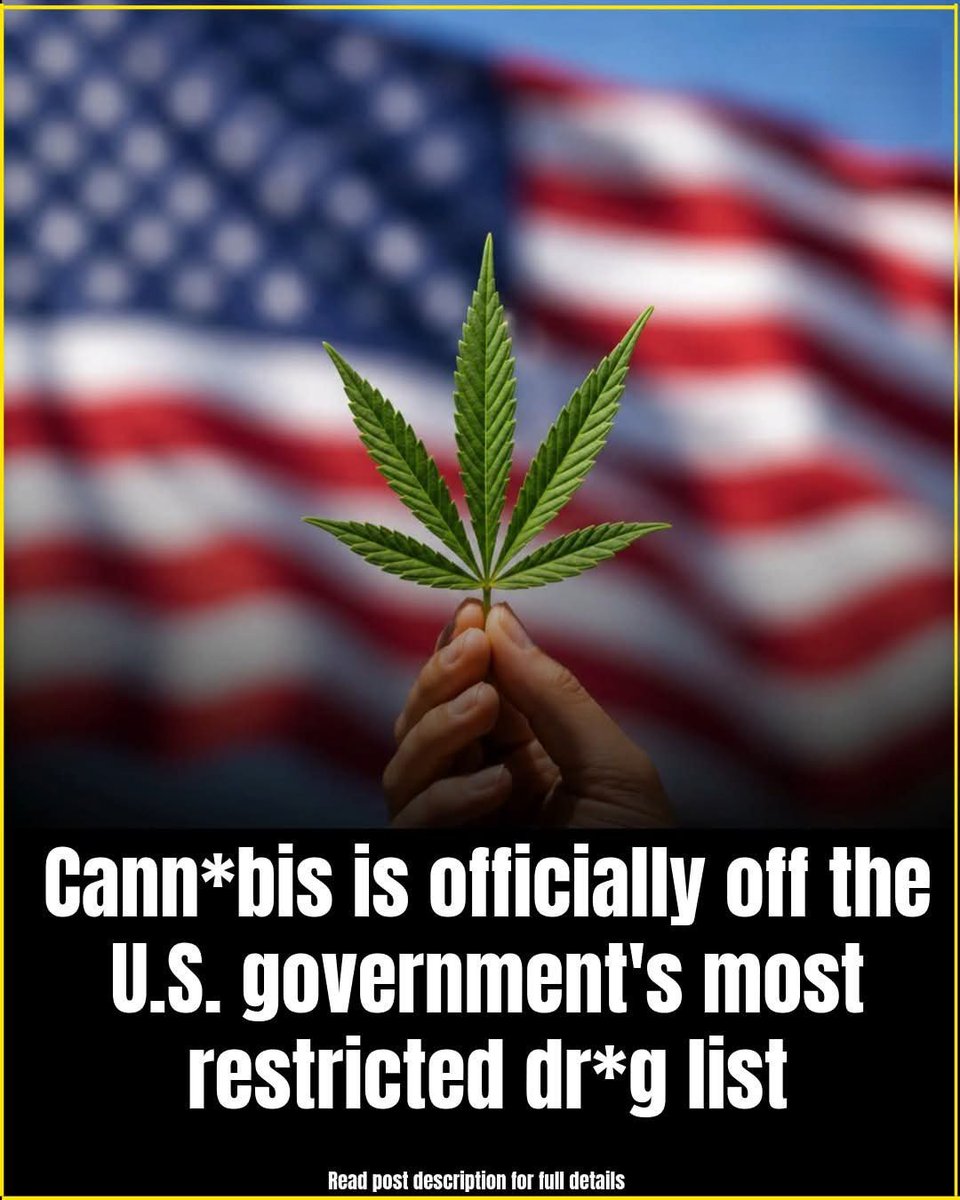 RobertFox_420's tweet photo. For more than 50 years, Cannabis was placed in the same federal category as heroine.

Now that category has changed.

After decades of debate, the federal government has moved marijuana from Schedule I to Schedule III.

That means cannabis is no longer classified alongside drugs such as heroine and L/S/D, which are defined as having a high potential for abuse and no accepted medical use under federal law.

The change does not make Marijuana federally legal.

Recreational Cannabis remains illegal under federal law, and interstate cannabis sales are still prohibited.

But the decision could have major consequences for science.

For years, researchers argued that Schedule I restrictions made marijuana unusually difficult to study. 

Scientists often needed special licenses, faced strict federal rules, and had limited access to cannabis products that did not match what people were actually using.

Moving cannabis to Schedule III could make it easier to run clinical trials, study specific formulations, and better understand how marijuana affects pain, nausea, appetite, memory, mental health, and addiction risk.

The shift comes as cannabis use in the United States has increased sharply and medical marijuana has become legal in most states.

Researchers say the new classification does not prove cannabis is harmless.

Instead, it may finally make it easier to answer some of the biggest questions about where marijuana helps, where it harms, and who is most at risk.

Learn more: “Cannabis reclassification could ‘open the floodgates’ for research, scientists say.” 
—NBC News
#cannabis #marijuana #cannabiscommunity #cannabisnews #unitedstatesofamerica #NewsUpdate