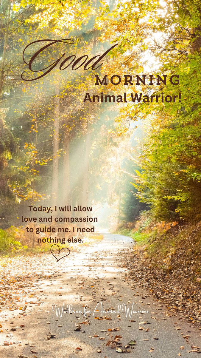 WAnimalWarriors's tweet photo. #Goodmorning, animal warrior! #AnimalRescue #Rescuelife #Animalwelfare #DogRescue #CatRescue #horserescue #TNR #trapneuterreturn #Vet #VetNurse #VetTech #AnimalShelter #AnimalSanctuary #Veterinarian #sheltervolunteer #SelfCare #EmotionalWellbeing #Burnout #animalrescuer https://t.co/PVNuzEiWqC