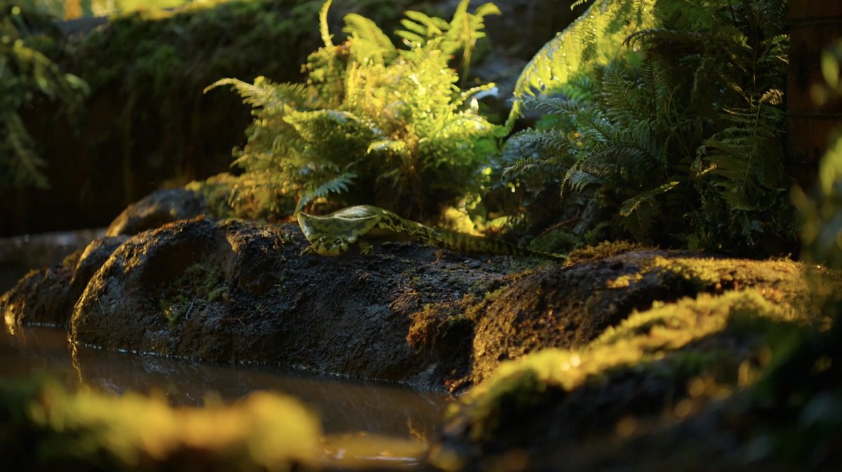 IsaiahCTorre's tweet photo. Just finished Ep 5: When The Forests Collapsed. 

Some of the show's best visuals and storylines offset by egregious narration and woeful misinformation (i.e. higher O2 levels leading to giant bugs + calling Dimetrodon a reptile.) A mixed bag, though still mainly good.

7.5-8/10 https://t.co/OwpmhaiPYM