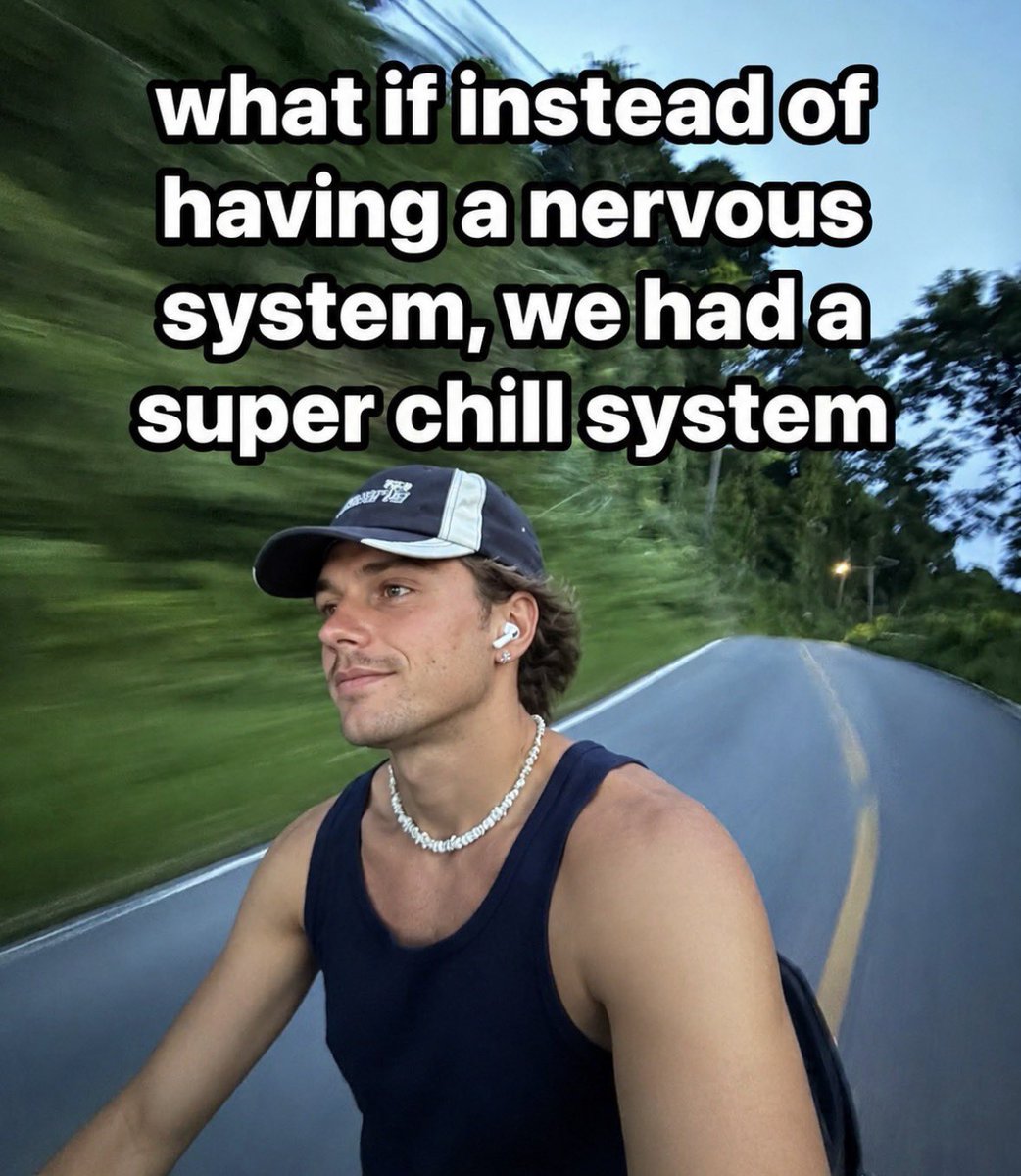 RespectfulMemes's tweet photo. https://t.co/lEllP8m9ce