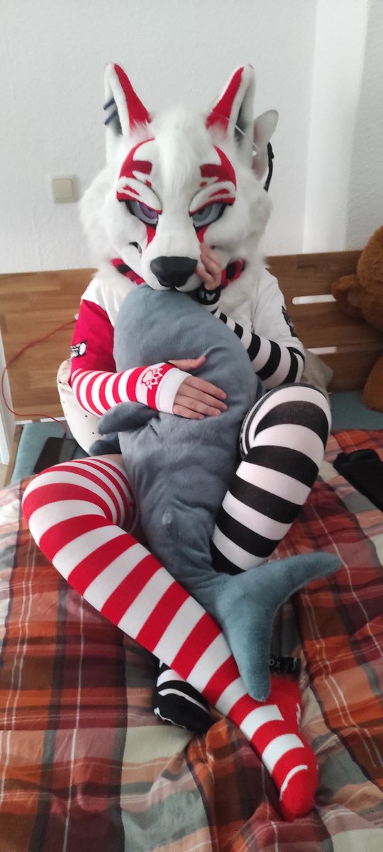 KitsuneKyiSu's tweet photo. Im not usually someone to make people choose sides, but...

Which one fo you prefer?~

#furry #fursuit #thighhigh https://t.co/EjLzm1eReP