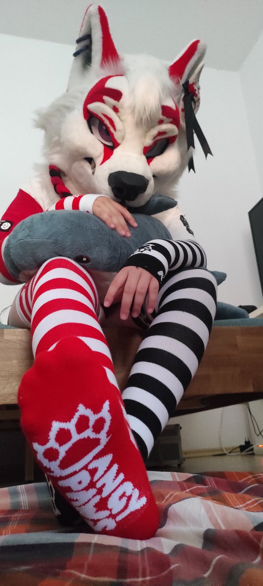KitsuneKyiSu's tweet photo. Im not usually someone to make people choose sides, but...

Which one fo you prefer?~

#furry #fursuit #thighhigh https://t.co/EjLzm1eReP