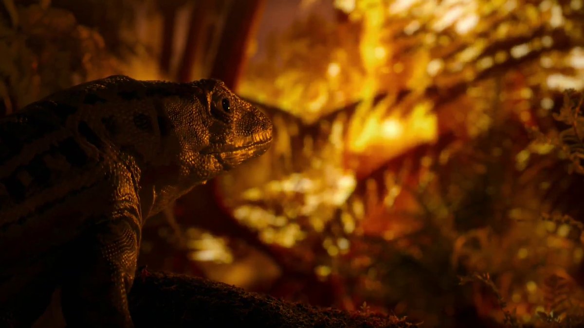 IsaiahCTorre's tweet photo. Just finished Ep 5: When The Forests Collapsed. 

Some of the show's best visuals and storylines offset by egregious narration and woeful misinformation (i.e. higher O2 levels leading to giant bugs + calling Dimetrodon a reptile.) A mixed bag, though still mainly good.

7.5-8/10 https://t.co/OwpmhaiPYM