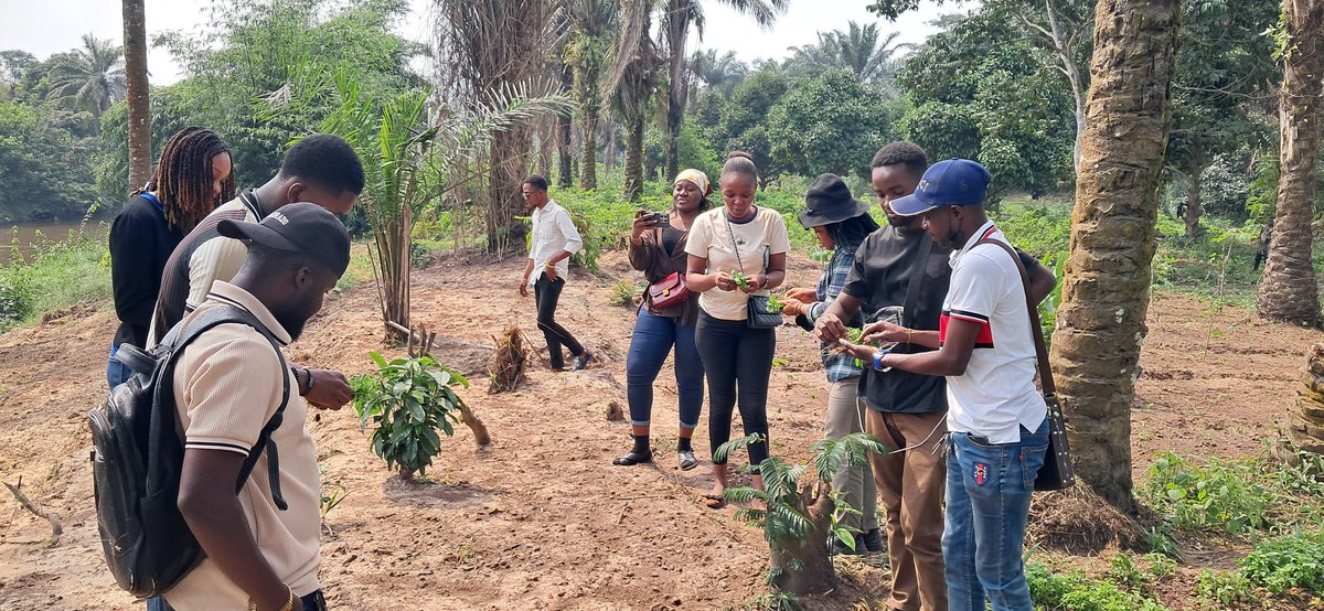ypard_rdc's tweet photo. Journée d'inspiration et d'apprentissage entrepreneurial des jeunes de @ypard_rdc au site agricole à N'djili Brasserie, Kinshasa. L'approche de visite de terrain est une pédagogie efficace : #Entendre, #Voir, #Partager et #Pratiquer. https://t.co/ghEBkeoG6X