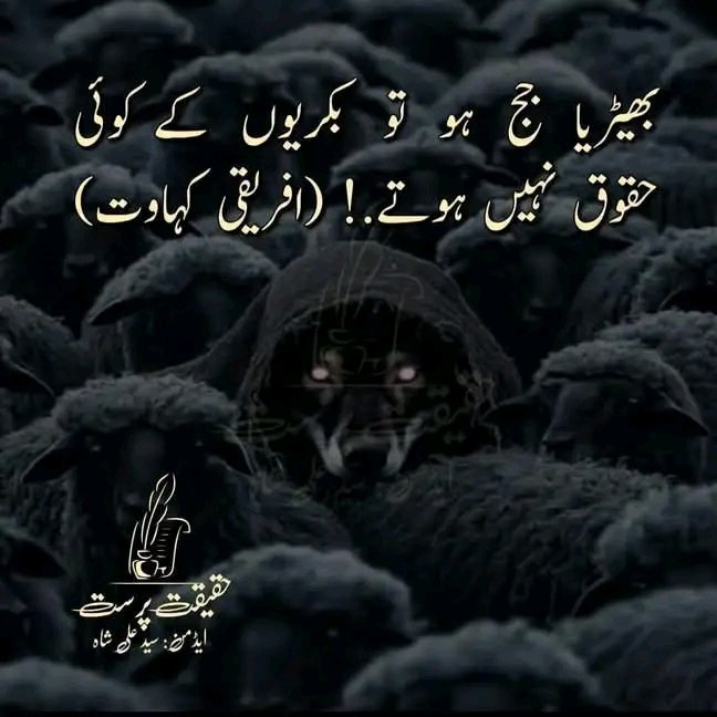 Shahida45895773's tweet photo. @ShifaKhanz InshAllah o Ameen https://t.co/3jTeWBrb9J