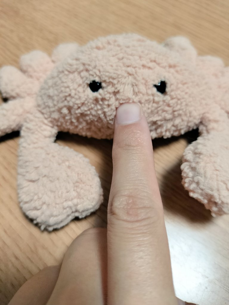 963sukiyo's tweet photo. カニさんにダル絡みする人間とされるカニさん

🦀「ﾅﾆﾔﾂ 」 https://t.co/bVL1uVnnsQ