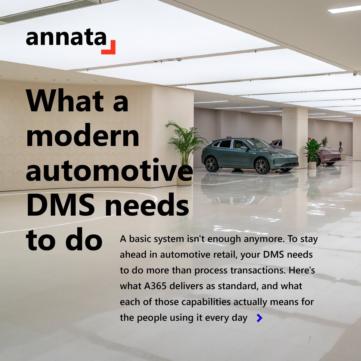 Annata tweet picture