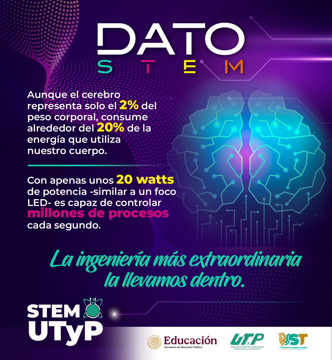 STEM_UTYP's tweet photo. #DatoSTEM🧠💜 El cerebro humano es la tecnología más extraordinaria que existe.

#STEMUTyP #DatoSTEM #Ciencia #Tecnología #Ingeniería #Matemáticas #MujeresSTEM  #Innovación https://t.co/Feg7iZ6dBl