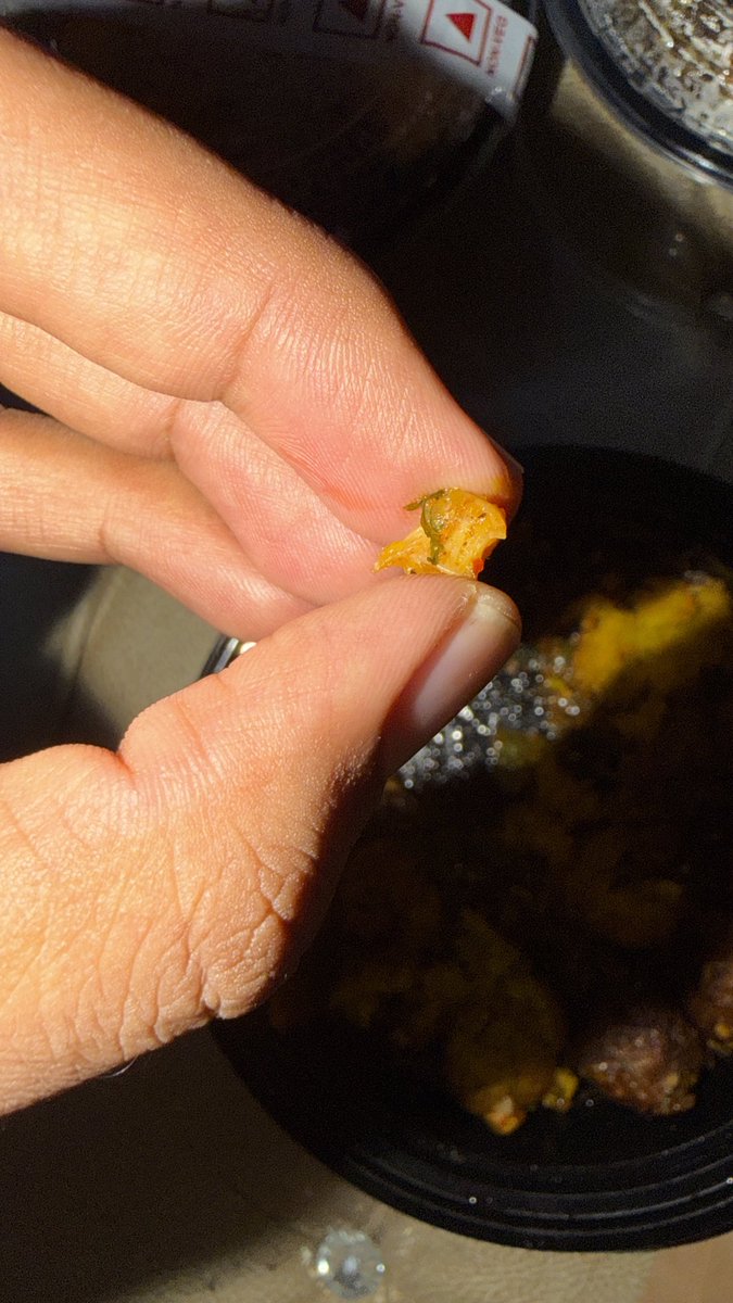 viveksvss's tweet photo. @Swiggy @nainitalmomo what is this you are serving nonveg in veg order. https://t.co/dgETGmSKNS