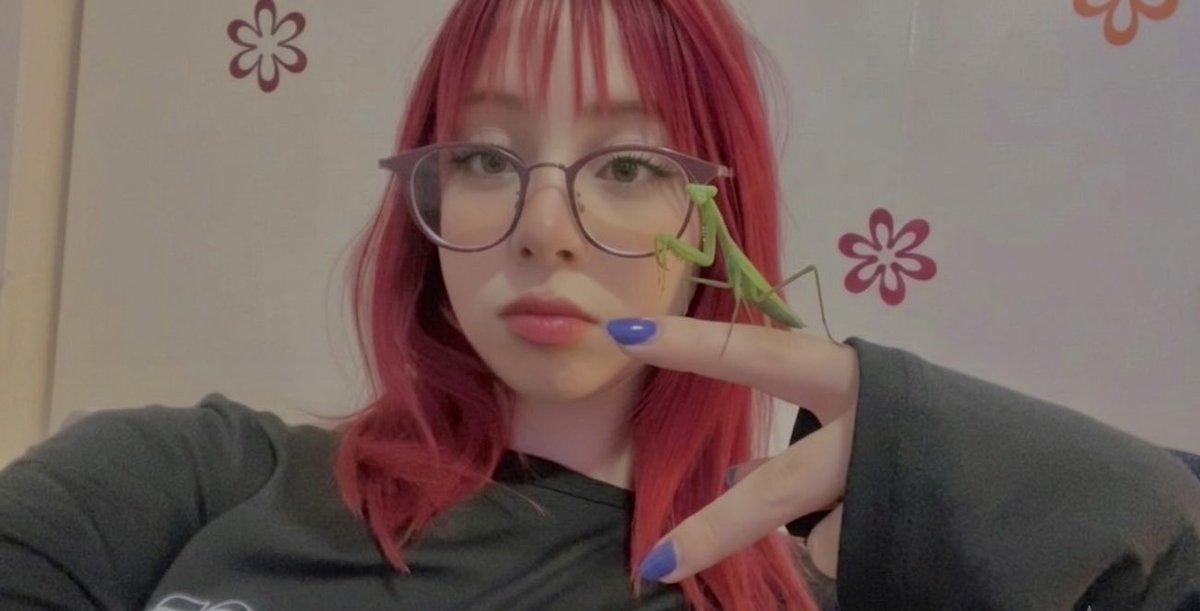 drakengardxyz's tweet photo. mantis are so tuff now i want one https://t.co/owEcTt8Akj
