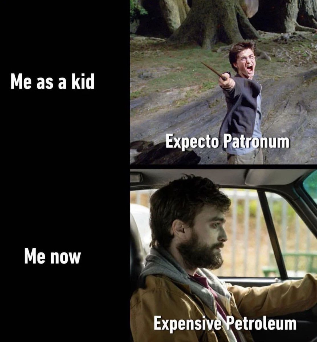 RespectfulMemes's tweet photo. https://t.co/mhWJ5rzpp2
