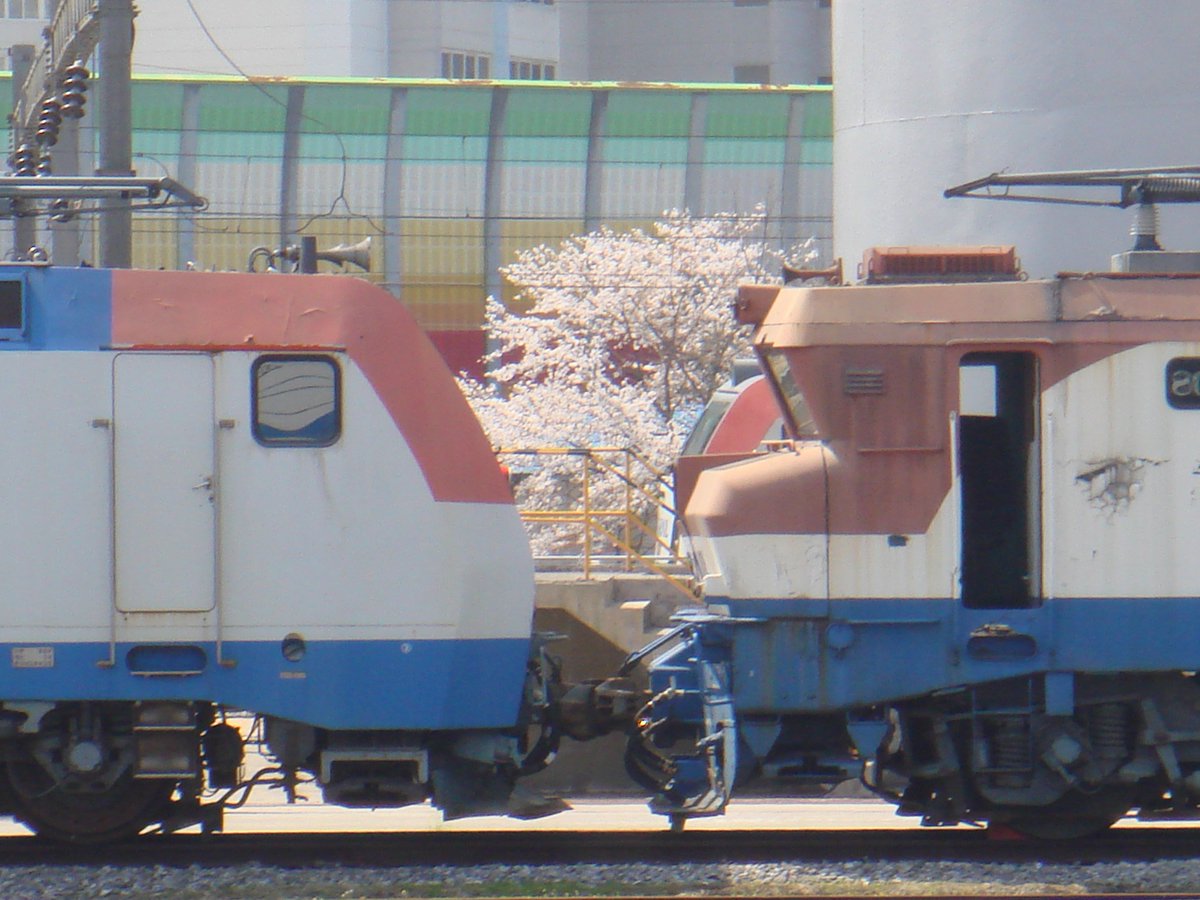 Local_1221 tweet picture