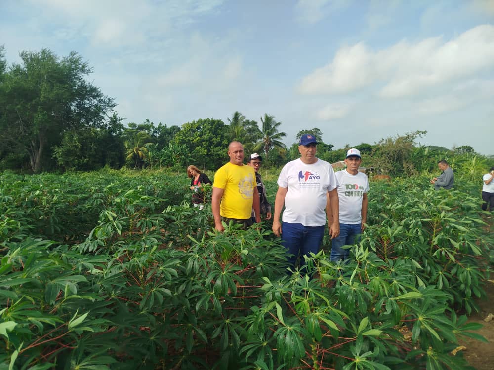 LorenzoOsbel's tweet photo. En el municipio cabecera se hace un gran esfuerzo para incrementar la producción de alimentos #LasTunas #PorLasTunasLaVictoria #SíSePuede #CubaEstáFirme #CubaVencerá https://t.co/okU6ddKMvQ