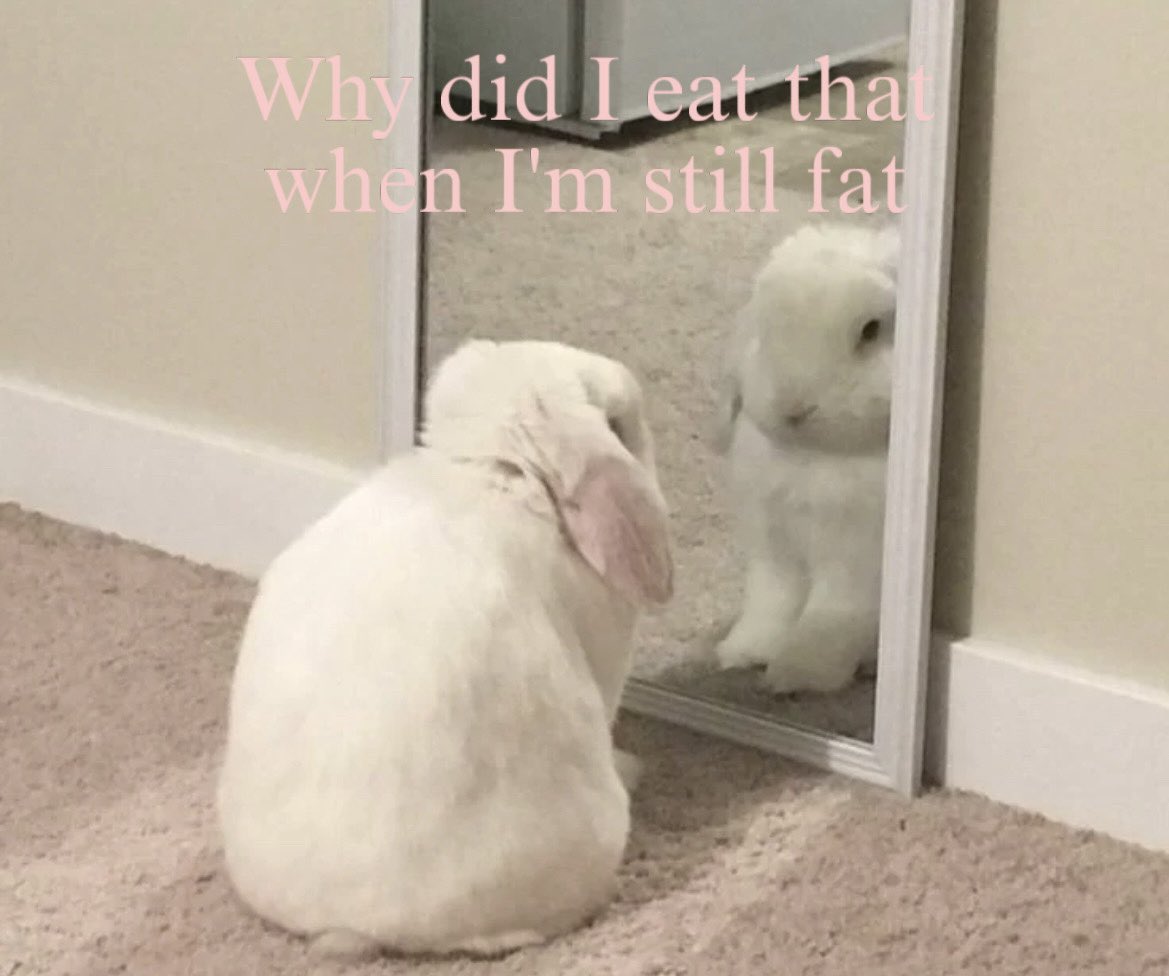 jdlxina's tweet photo. Me every day https://t.co/wak9ATPUj1